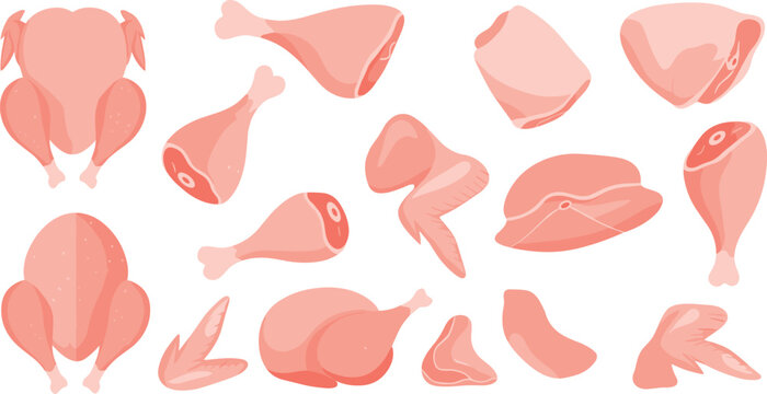 Flat style raw chicken meat parts vector illustration set with fresh pink whole carcasses drumsticks breasts wings and thigh cuts isolated on transparent background