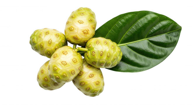 A cluster of fresh, bumpy, light green noni fruits with a single large, glossy, dark green leaf isolated on a solid black background