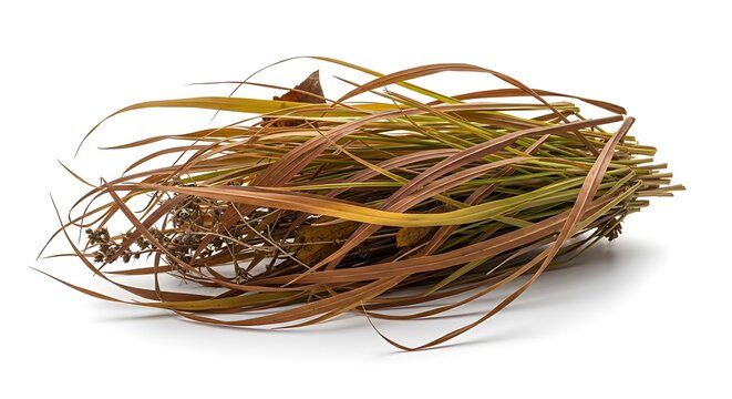 Dried grass bundle on white background.
