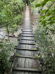 Fototapeta premium Narrow wooden suspension bridge in a lush green forest