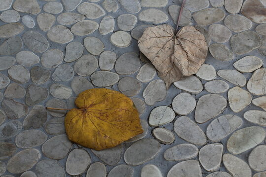 Autumn leaves resting on a textured pebble pathway, showcasing seasonal change