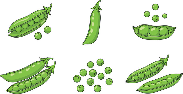 Cartoon green pea pods vector icon set with open shells and scattered round seeds isolated on transparent background for kitchen sticker graphic elements.