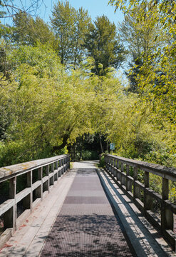 Fishtrap Creek Park during a spring season in Abbotsford, British Columbia, Canada