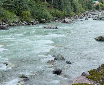 Scenic Mountain River Flowing Through Pahalgam Kashmir Forest Landscape 