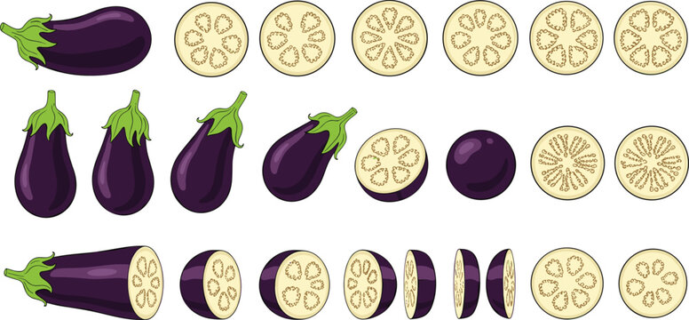 Comprehensive purple eggplant vector mega set featuring multiple whole aubergines vertical half cuts circular cross section slices and chunks isolated on transparent background