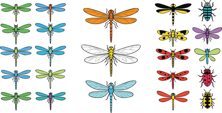 Colorful dragonfly and insect vector illustration set featuring flying bugs winged wildlife and nature collection isolated