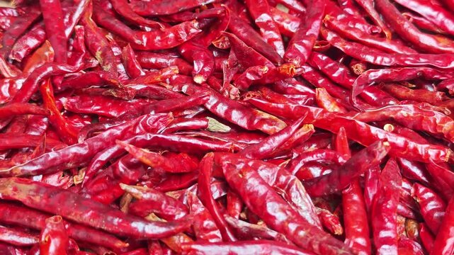 Dried red hot chili pepper