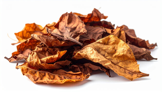 Tobacco Leaf Pile