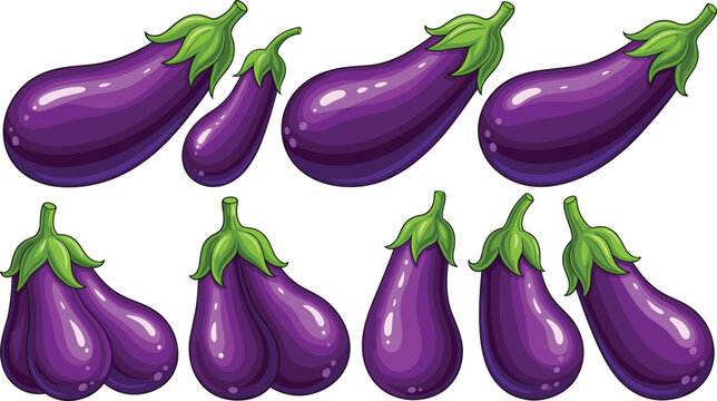 Detailed glossy purple eggplant vector illustration collection with fresh ripe aubergines in various organic shapes and angles isolated on a transparent background