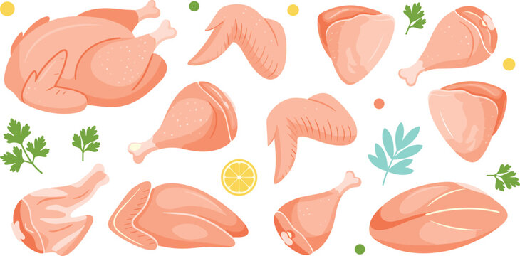 Flat style fresh raw chicken parts vector illustration collection featuring pink whole carcass breast fillets wings drumsticks thighs parsley herbs and lemon slice isolated on transparent background