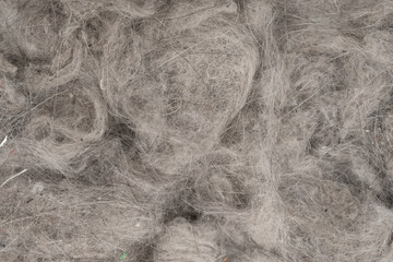 Fototapeta premium pile of garbage texture background. сontents vacuum cleaner garbage, trash, dust. close-up.