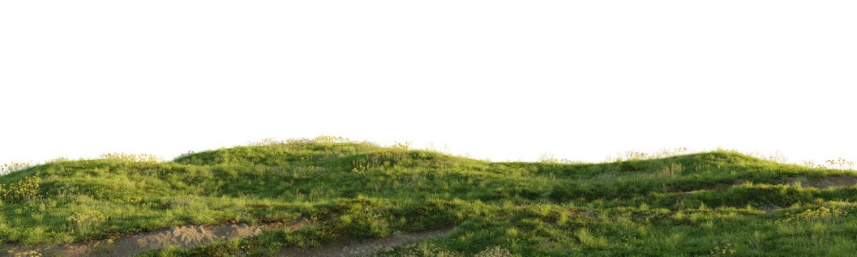 Rolling grassy terrain with wild vegetation isolated on transparent background for environment design asset. 3D rendering.