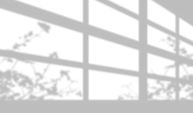 window light shadow with leaves branch silhouette on down right  and left corner of  windows frame visualizing overlay effect fot background design. 
