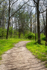 Fototapeta premium A scenic dirt hiking trail curving through a lush green forest at Lapham Peak in Waukesha County, Wisconsin, during early May.