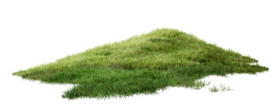 green grass on white background/High resolution realistic green grass hill isolated on light background with natural texture and sharp details.