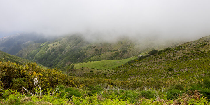 Foggy mountains covering green valley in Madeira