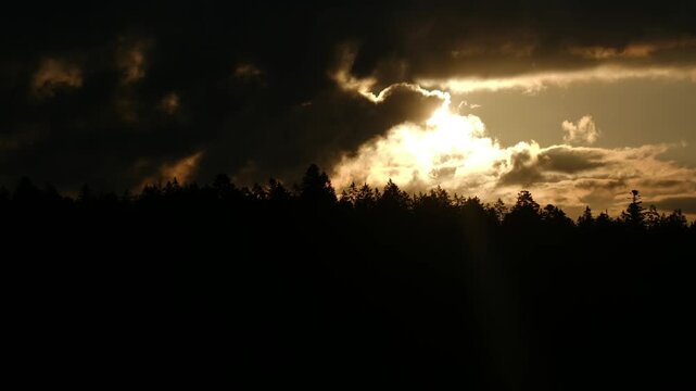 Dramatic sun rays shining through dark stormy clouds at sunset behind a silhouetted pine forest on the horizon in a national park, creating a powerful natural spectacle