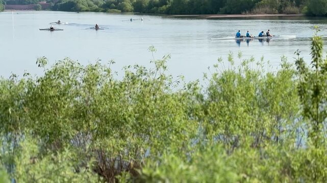 Kayakers training on river water in summer, athlete crew practicing paddling sprints across calm reflective surface, green