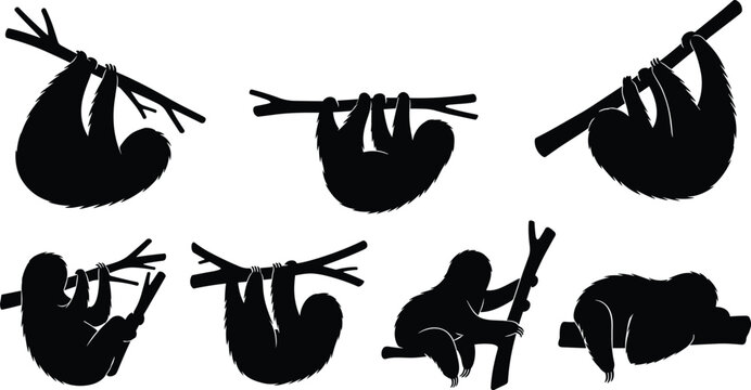 Sloth silhouette vector set. Sloth icons for wildlife, jungle, and educational projects. Realistic Sloth shapes for creative, animal, and nature illustrations.