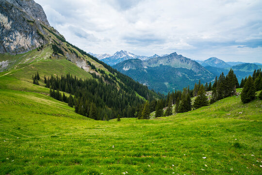 Germany, Breitenberg mountain landscape with alpine trees, rocks and valley viewpoint in Bavaria