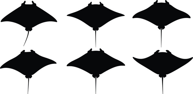 Stingray stencil templates. Symmetrical Stingray outline stamps for marine biology research guides. Minimalist Stingray stickers for modern beach house wall decorations.