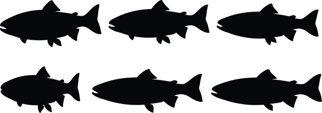 Trout stencil templates. Speckled Trout outline stamps for environmental hatchery conservation posters. Minimalist Trout stickers for sport fishing charter boat decal designs.