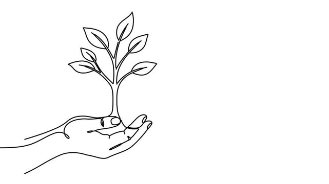 Animation of line drawing of tree growing from a hand symbolizing sustainability and environmental rights.