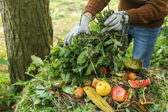 Zero waste, composting concept. Compost heap, pile with bio waste closeup in garden. Farmer hands put weeds grass plants, vegetable fruit scraps in compost
