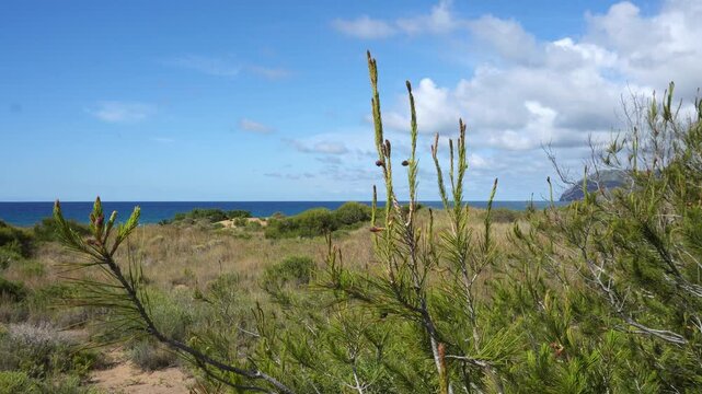 Playa Calblanque 8