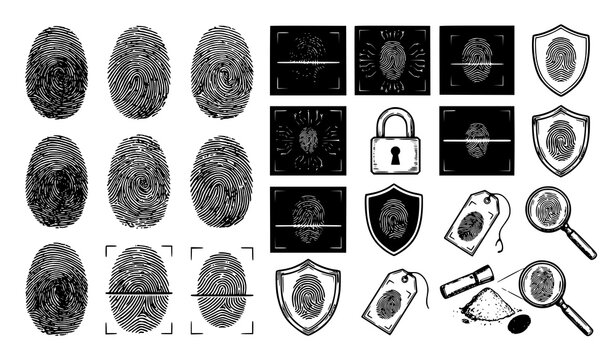 Fingerprint collection forensic evidence security and identification graphics