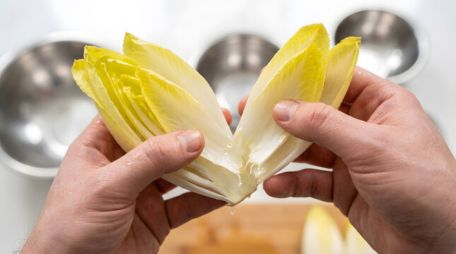 Chef preparing fresh Belgian endive leaves | Squeezing liquid from chicory for salad recipe | Close up of hands handling raw endive vegetable | Healthy plant-based food preparation in kitchen