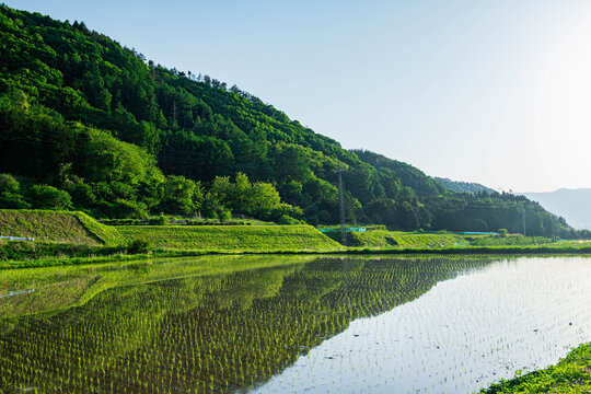 水面に映る山」の写真素材 | 5,382件の無料イラスト画像 | Adobe Stock