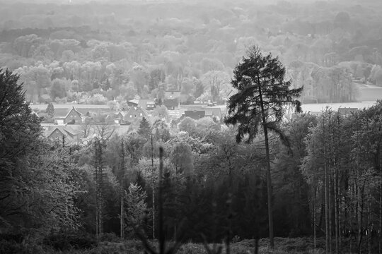 Zwischen den dunklen Baumlinien kauern kleine H&auml;user wie stille Gedanken inmitten eines Meeres aus Nebel und &Auml;sten. Der einzelne Baum am Hang wirkt dabei fast wie ein alter Erz&auml;hler, der jede Jahresze