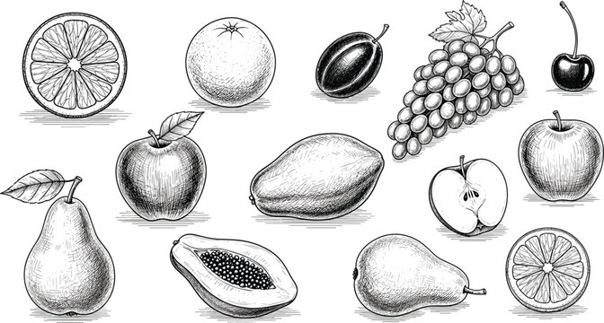 Vintage fruit engraving vector set. Apple, pear, grape, orange, cherry, plum, papaya, and lemon sketch collection. Hand drawn monochrome healthy organic food illustration.
