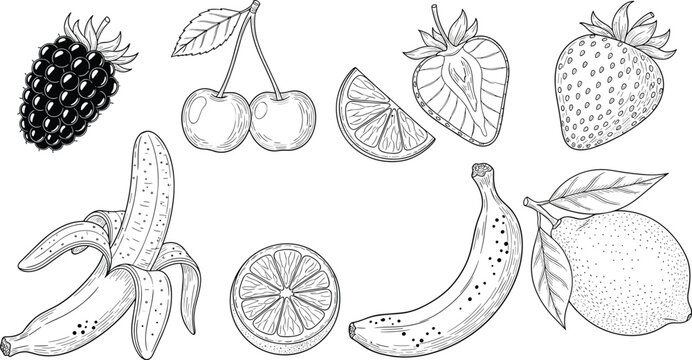 Vintage fruit engraving vector set. Blackberry, cherry pair, lemon slice, strawberry half, whole strawberry, peeled banana, orange slice, whole banana, lemon leaf sketch collection.