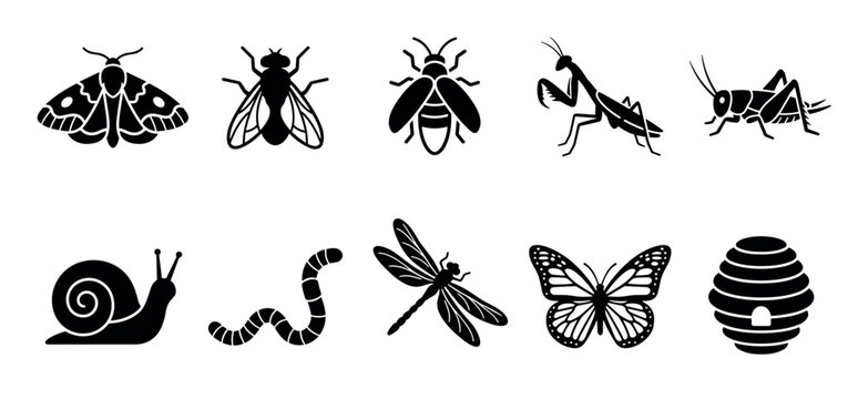 Various insect and garden creature silhouettes including moths, flies, bees, and butterflies are depicted in a clean graphic style.