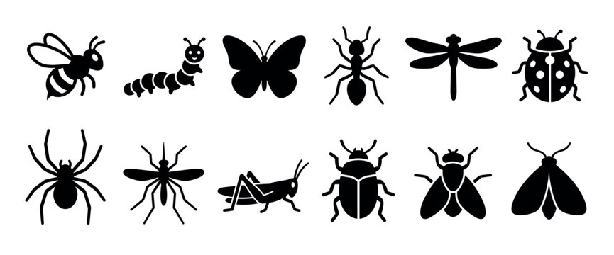 Assortment of insect and bug graphic icons, featuring various common creatures like bees, butterflies, ants, spiders, and beetles, are depicted as simple black silhouettes.
