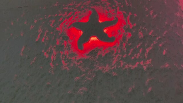 Glowing red salt star on textured cave wall closeup showing crystalline five point formation bathed in warm red light porous