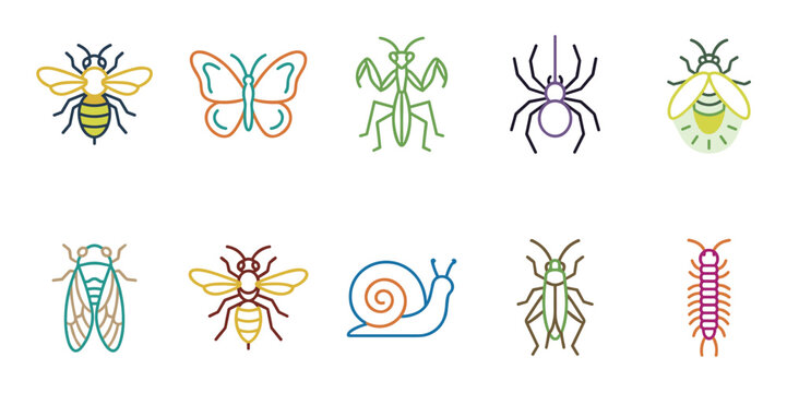 Colorful outline insect and bug creature icons in a modern minimalist style, perfect for educational materials or digital design projects.