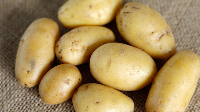 gros-plan sur les patates