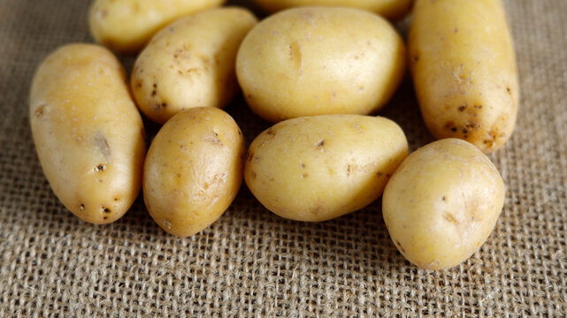 pommes de terre en gros-plan
