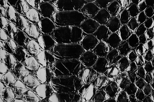 Black glossy python leather texture close up with reptile scale pattern for fashion background