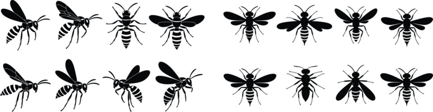 Wasp and hornet insect silhouette collection featuring various flying positions and top views for nature education or pest control branding.