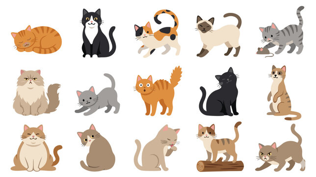 Cute cat character collection, kawaii kitten stickers set with various breeds and poses flat vector
