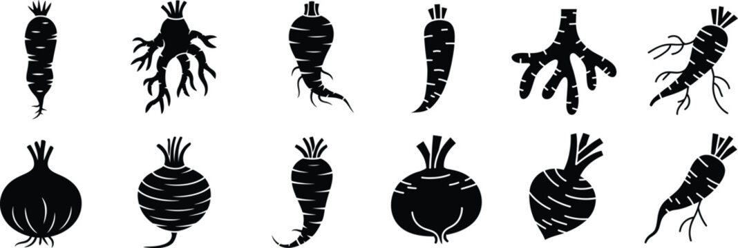 Natural root vegetables and herbal ingredients silhouettes including ginseng ginger onions carrots and beets for healthy lifestyle concepts.