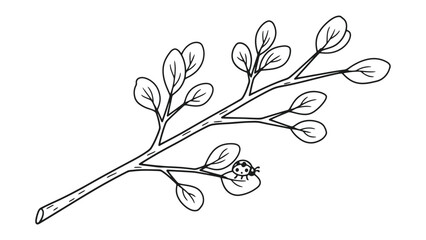 Close-up drawing of a branch with leaves and a ladybug © Sadia