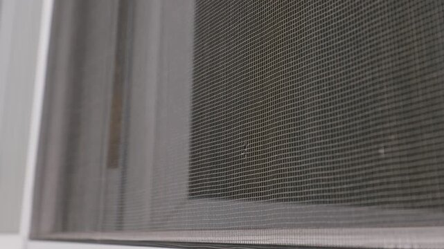 A grey mosquito net mesh is securely attached to the edge of a modern white window frame. Concept of domestic insect protection, summer home improvement, and safe indoor ventilation.