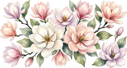 Beautiful watercolor magnolia flower collection with blooming pastel pink and purple blossoms isolated on white background for romantic botanical vector design © Sujon Shah