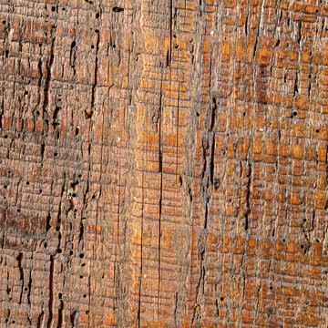 Full frame texture of old rustic wooden board with grain and cracks
