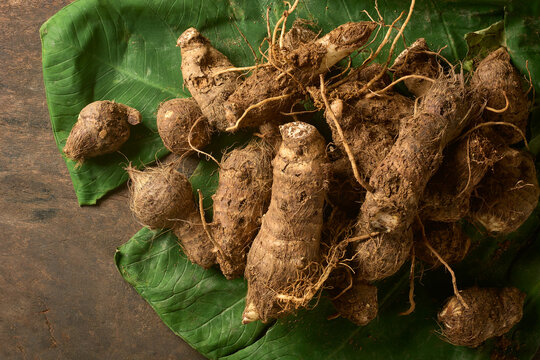freshly harvested raw unpeeled taro roots piled on large green leaf over wood table, top view with copy space, agricultural harvesting